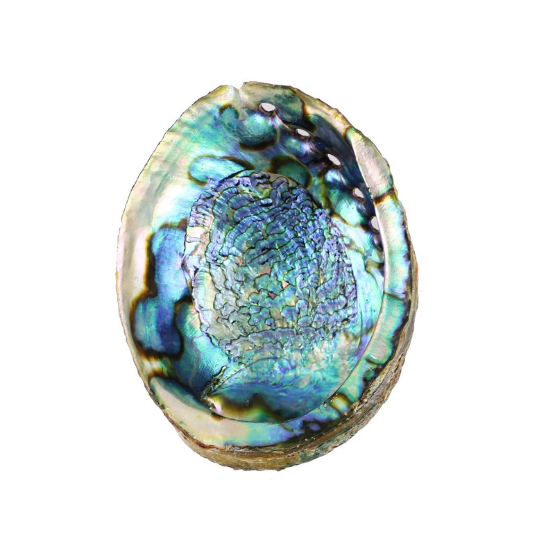 Soul Sticks Abalone Shell for Smudging 4–6" with Wooden Tripod