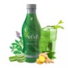 ARDYSS LE VIVE GREEN ANTIOXIDANT DIETARY SUPPLEMENT JUICE