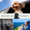 Dog Car Seat for Small/Medium Dogs,6in Elevated Cushion,Fits in Front/Back