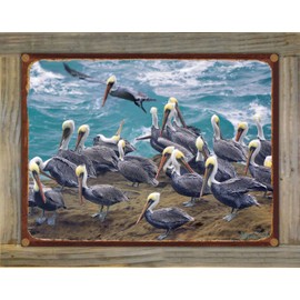 Northwest Art Mall Devils Punch Bowl, Newport Oregon Rustic Metal Print on Reclaimed Barn Wood from Photograph by Steve Terrill 8.5" x 11.5"