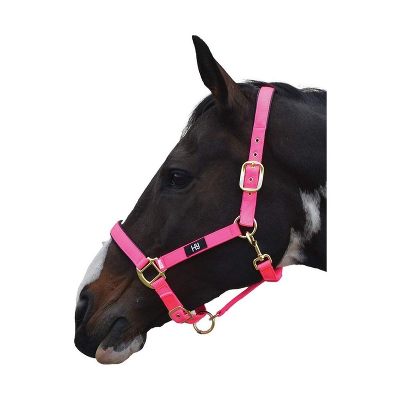 Hy Grand Prix Head Collar Hot Orange Cob