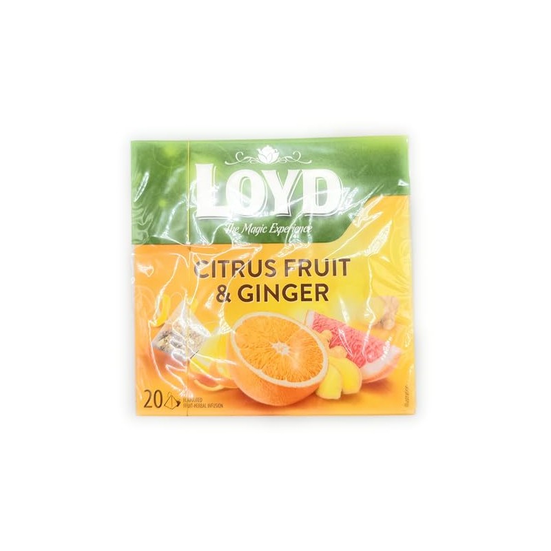 Loyd Ginger & Citrus Fruit Pyramid Tea Infusion - 20