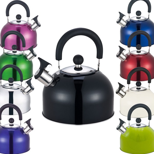 Premium Stainless Steel Whistling Kettle | 10 Colors | Stove