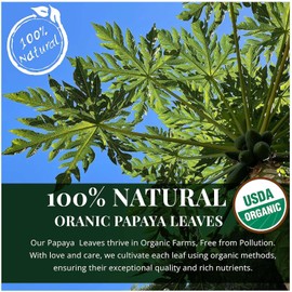75 Organic Papaya Leaf Tea Bags, Pure Papaya Leaf Tea From Natural Papaya Leaves, Hojas de Papaya Te, Loose Leaf Papaya Herbal Tea, Te de Papaya, Caffeine Free, Gluten Free, Vegan