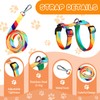 3Pcs Cat Harness and Leash Set, Colourful Escape Proof Kitten