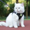 FEimaX Dog Harness with Lead for Small Dogs, Cats, Soft
