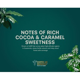 COFFEE 46 HUNDRED® Robust Artisanal Blend Whole Bean Specialty Coffee - 100% Arabica Single Origin - Dark Roast - 311g/11oz - Grown at 4,600 ft - Supporting Communities in Need