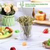 4000 Pcs Bamboo Cocktail Picks Looped Knot Skewers 4.13 Inch