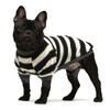 Fitwarm 2-Pack 100% Cotton Striped Dog Shirt for Pet Clothes