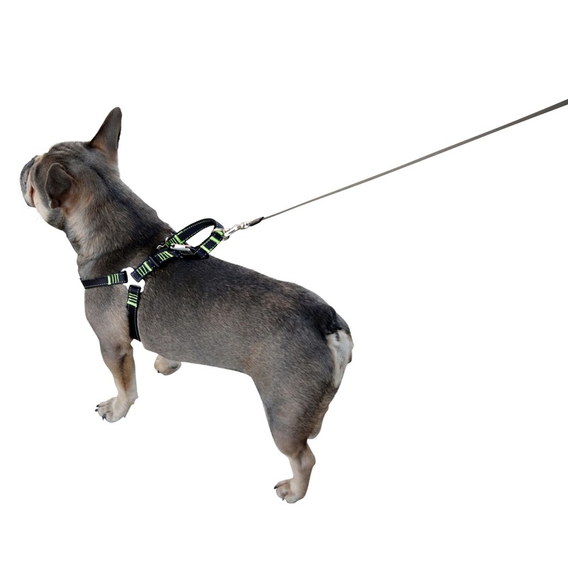 Car Safety Harness, Black, L 65-85 cm/25 mm