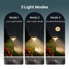 Linkind Solar Pathway Lights 4 Pack, Solar Lights Outdoor, Warm