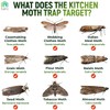 TARO 6-PACK Maximum Strength Pantry Moth Traps, Pantry Moth Killer,
