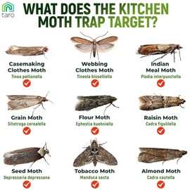 TARO 6-PACK Maximum Strength Pantry Moth Traps, Pantry Moth Killer, Moth Traps for House Pantry, Keep Moth Away with Taro Moth Killer Indoor, Pantry Moth Traps with Pheromones Prime, Pantry Moth Trap