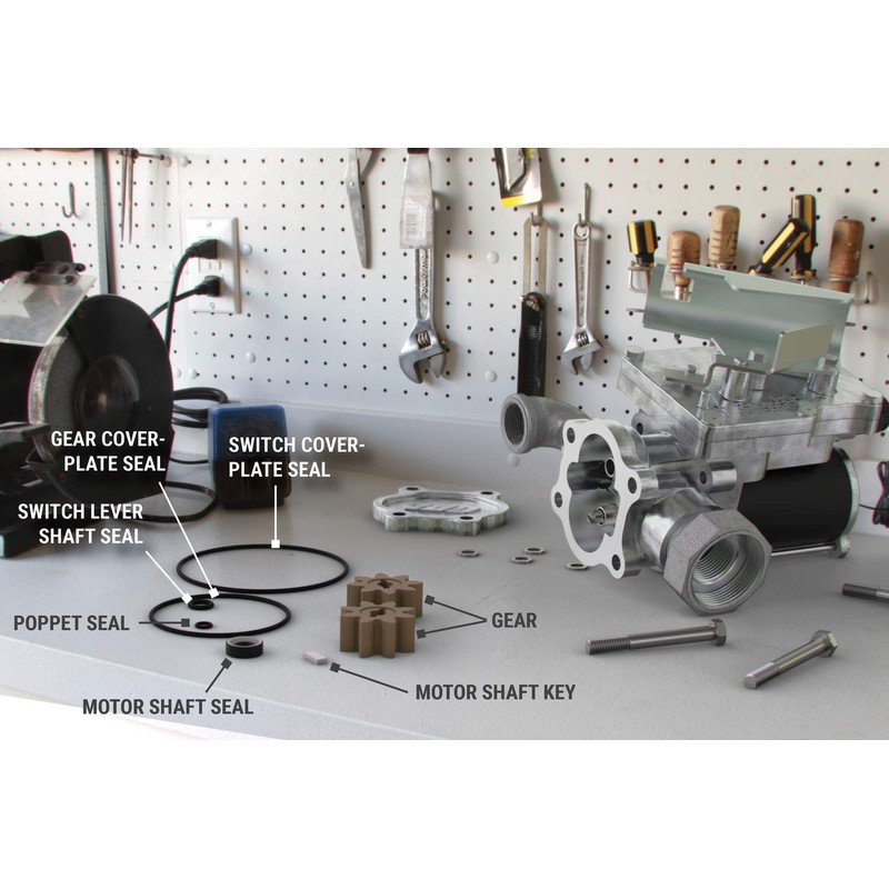GPI Overhaul Kit for EZ-8 Fuel Transfer Pump Manufactured on