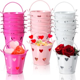 18 Cubos Pequeños Metálicos con Corazón Hueco para San Valentín Mini Cubos de Metal de Corazón con Asa Soporte para Suministros de Manualidades de Lápices de Colores, Rojo Rosado Blanco Rosa