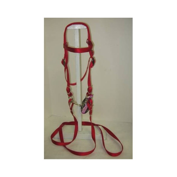 Party Ponies Miniature Horse/Small Pony Nylon Complete Bridle with Free BIT (Snaffle Style Varies) RED