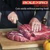 BOLEXINO Chef Knife,10 inch High Carbon Stainless Steel Kitchen Knife,