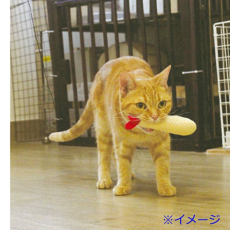 CattyMan Nyan Dent for Cats, Toothpaste, Shrimp Fried