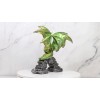 Ebros Gift Green And Gold Scales Behemoth Dragon Perching On