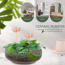 Lotus Bowl Planter, 6.5x6.5x2.55 Lotus Water Lily Succulent Ceramic Basin, Lotus Bowls for Planting in Water Indoors, Hydroponic Flower Pots Without Drain Holes, for Succulent Plants (Green)