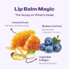 FRUDIA Blueberry Honey Lip Balm – ELong-Lasting Lip Butter Balm