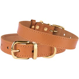 BRONZEDOG Leather Dog Collar Buckle Durable Pet Collars for Small Medium Large Dogs Puppy Cat Kitten Red Pink Purple Green Brown Black