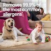 Clorox Disinfecting Wipes, Bleach Free Cleaning Wipes - Fresh Scent,