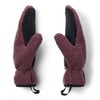 Mountain Hardwear Men's HiCamp Fleece Mitt, Blackberry, Medium