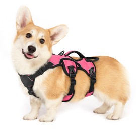 rabbitgoo Escape Proof Dog Harness, Soft Padded Full Body Pet Harness, Reflective Adjustable No Pull Vest with Lift Handle and Leash Clip for Large Dogs Walking Hiking Training, S, Pink