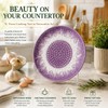 Ceramic Garlic Grater Plate Set with Rack & Cleaning Brush(Purple)