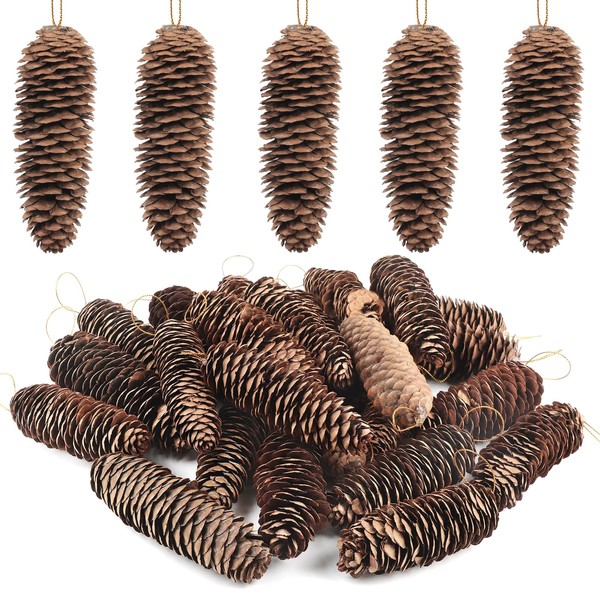 TaoQ C 24 PCS Large Pine Cones Decorations, Natural Pine