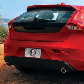 Rico FSU Florida State Seminoles Acrylic License Plate Laser Tag