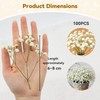 ForestM 100PCS Dried Pressed Flowers,Natural Baby Breath Dried,Dry Flowers