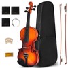 Violin For Beginners, CVN-300 Solidwood Ebony Fitted Violin with Strings,
