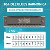 CONJURER Deluxe 10 Hole Pro Diatonic Blues Harmonica in C