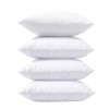 Phantoscope 18 x 18 Pillow Inserts, Set of 4 Hypoallergenic