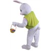 Men’s Easter Bunny Costume with Vest & Carrot