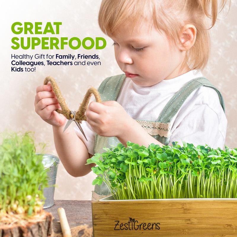 ZESTIGREENS Microgreens Kit: Self-Watering Tray, Seeds, Mats, Bamboo Frame -