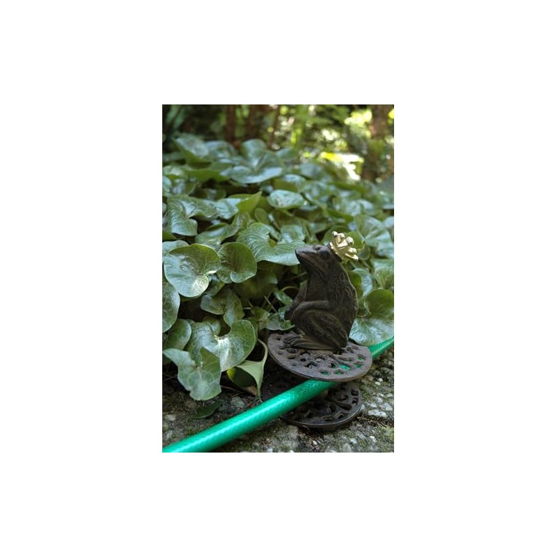 Rustic Pulley Frog King, Cast Iron Garden Hose Guide, Dimensions