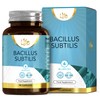LN Bacillus Subtilis | 90 High Strength Probiotic Supplements -