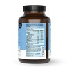 The Wellness Company Daily Immunity Gummies – Delicious Immune Boost