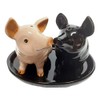 Pigs Salt and Pepper Shaker Set Ceramic Animals Pigs Gift