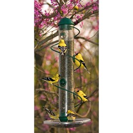 Bird Quest SBF3G 17-Inch Spiral Seed Bird Feeder - Green