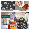 HOMESPON Insulated Lunch Bag Lunch Box Cooler Tote Box Cooler