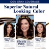 Clairol Nice'n Easy Permanent Hair Color, 6W Light Mocha Brown,