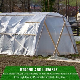 Farm Plastic Supply - String Reinforced 6 Mil White Plastic Sheeting - Overwintering Film, 6 Mil White Plastic Film, Greenhouse Plastic, Overwintering Plastic, Durable Plastic Sheeting (20' x 10')