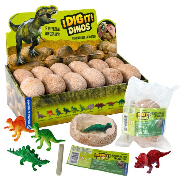 I Dig It! Dinos - 24 Dinosaur Eggs | Birthday Party Favors | Stocking Stuffers | Collectable | Gift Set | Swag Bags