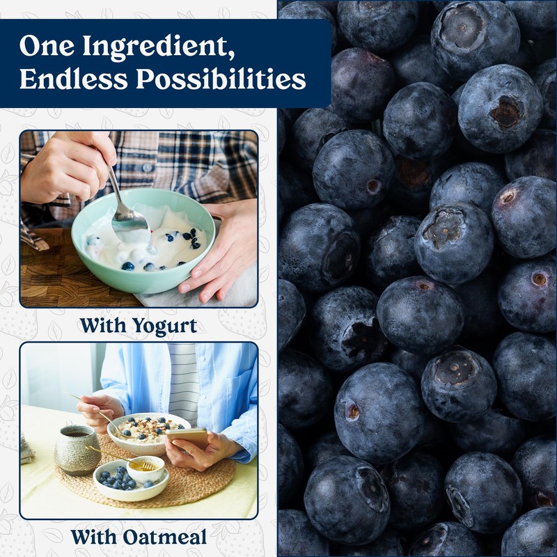 Augason Farms Dried Whole Blueberries Can – Dried Fruit for