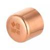 Efield Pro 50 Pack EFIELD 1/2" Copper Pipe End Cap