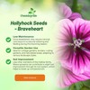 Outsidepride Braveheart French Hollyhock Seeds - 100 Pcs Perennial Purple